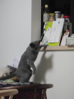 20120108-2.jpg