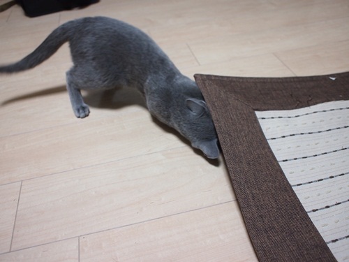 20120111-1.jpg