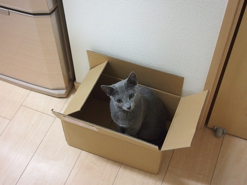 20120123-2.jpg