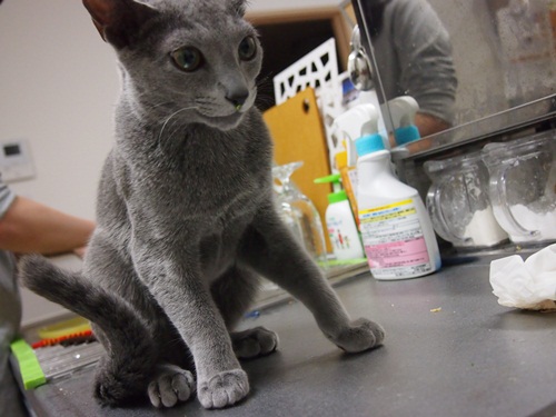 20120205-4.jpg