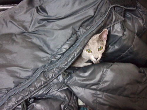 20120210-1.jpg