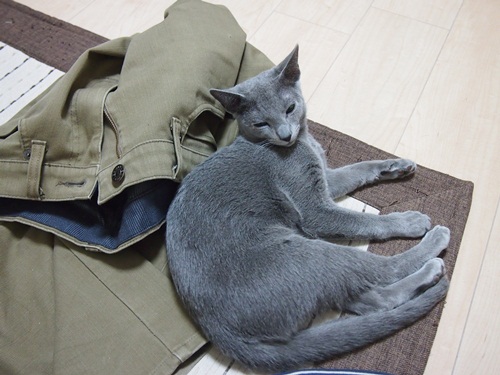 20120210-2.jpg