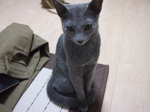 20120210-3.jpg