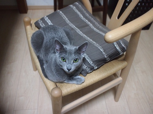 20120221-3.jpg