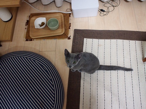 20120308-2.jpg