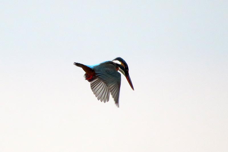 IMG_0754.jpg