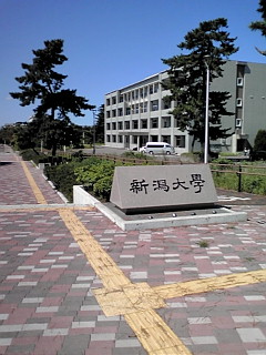 内野5