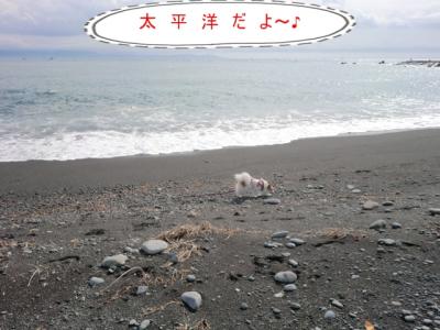 コピー (2) ~ CIMG0024