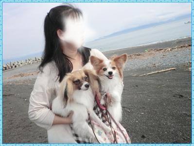 コピー ~ CIMG0035