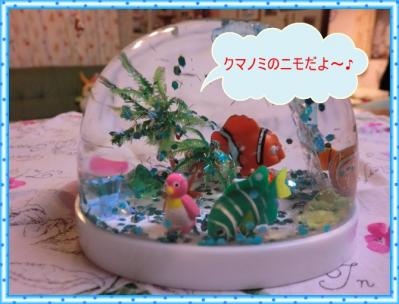 CIMG0009_20111019215559.jpg