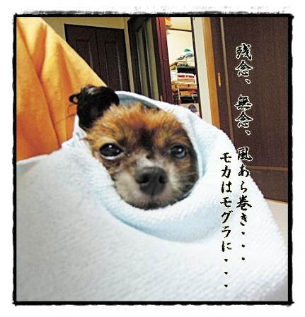 DSCN1444.jpg
