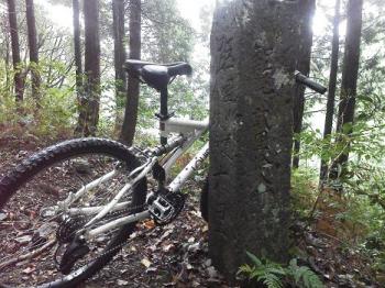 mtb 005