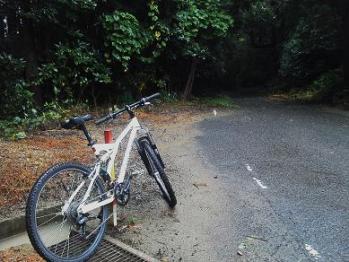 mtb 008