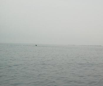 三島めぐり 021