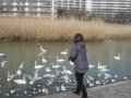 DSC02855.jpg