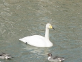 DSC02858.jpg