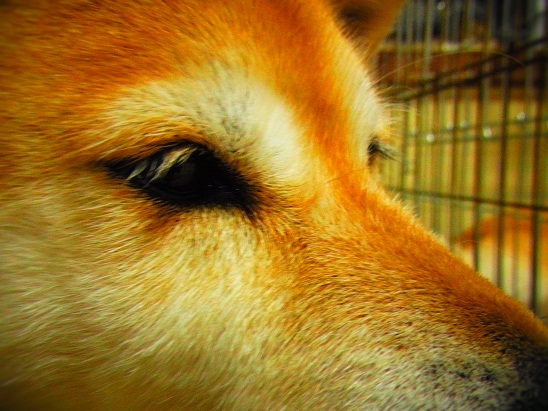 4月9日ー1