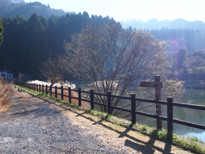 1穿戸羅漢山入口