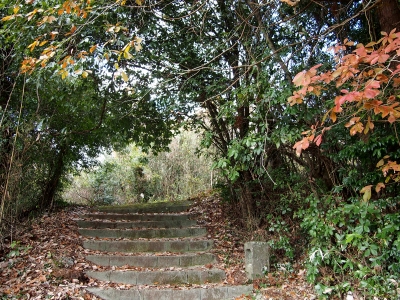 1木葉山登山口 12時49分