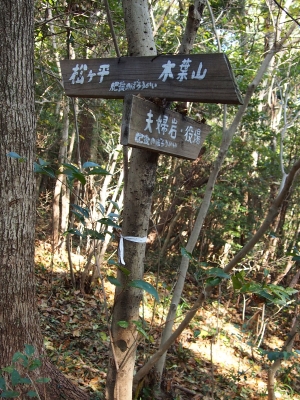 5松ヶ平へ