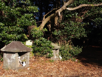 9松ヶ平山頂