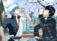 銀魂 酒と銀さんと土方