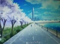 塔・桜