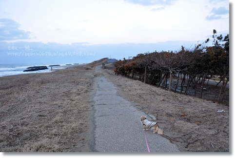 松任海浜公園20130120 021