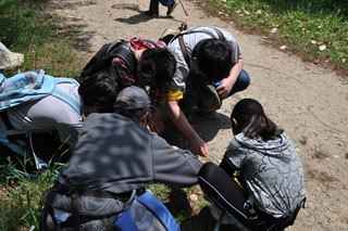 110508_2.jpg