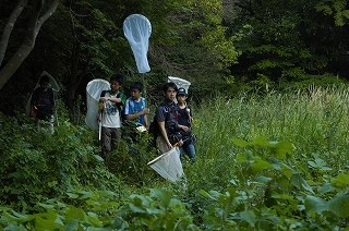 110702_2.jpg