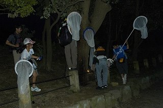 110702_4.jpg