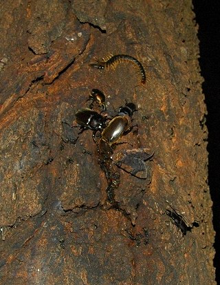 110702_8.jpg