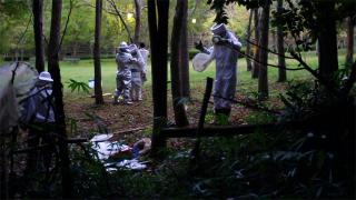 111025_11.jpg