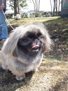 DSC_0078.jpg