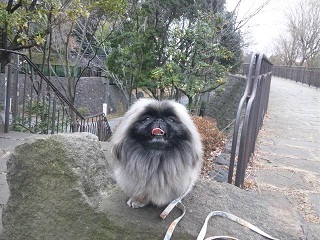 DSC_0132_20120216204820.jpg