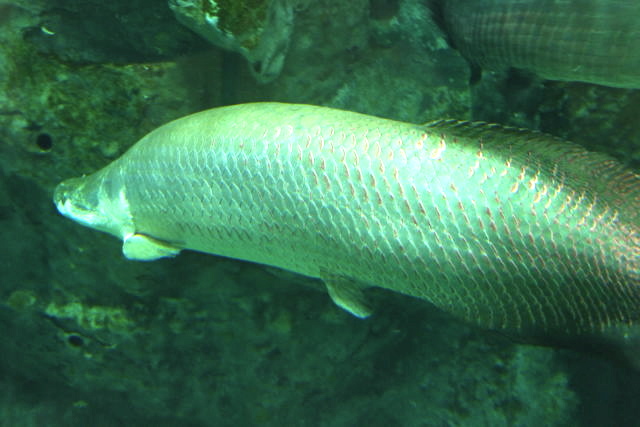 15796539_1587671625_36large.jpg
