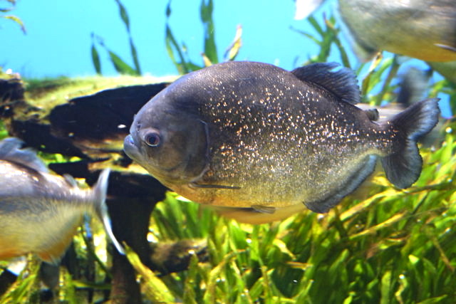15796539_1587671641_139large.jpg