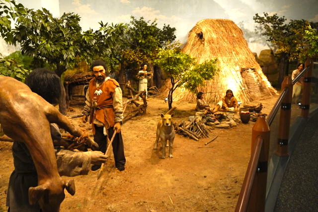 15796539_1619412089_161large.jpg