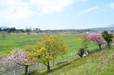 gw5_20130505185747.jpg