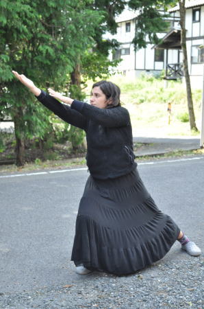 taici2.jpg