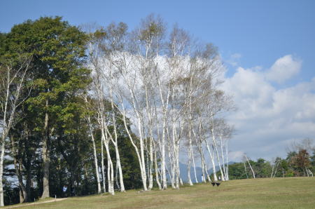 yama4.jpg