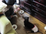 20131223クリスマスイヴイヴ (4)-1