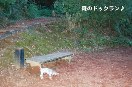 DSC_0005_convert_20110929105003.jpg