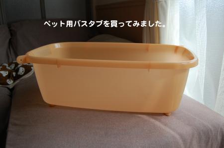 DSC_0011_convert_20111112082658.jpg