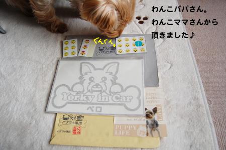 DSC_0024_convert_20111110224538.jpg