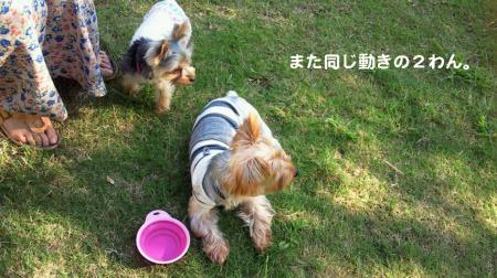 NEC_0162_convert_20110915165713.jpg