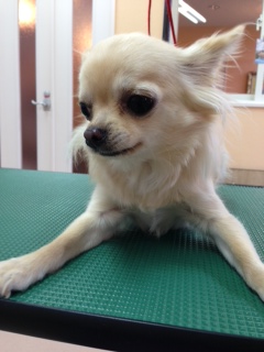 写真 2