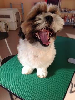 写真 1