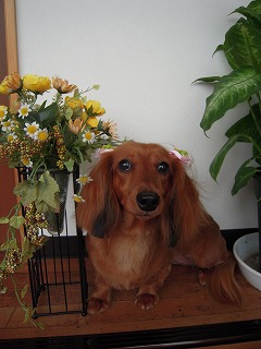DSCN4502.jpg