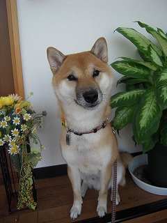 DSCN4623.jpg